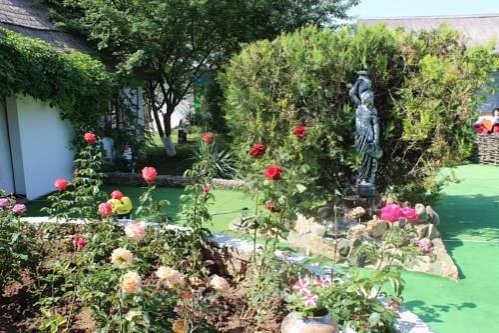 Гостевой дом Usadba Soloha Поповка-23